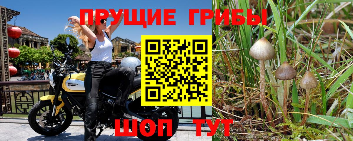 Псилоцибиновые грибы ЛСД Глазов
